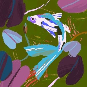 Meet your Posher, Ana